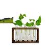 1PC Plastic Wood Frame Test Tube Planters Flower Holder Wooden Stand Glass Water Propagation Station Wood Frame