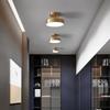 Nordic LED Ceiling Lamp Indoor Lighting For Home Aisle Balcony Hallway Entrance Cloakroom Living Room Decoration Ceiling Light