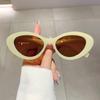 Luxury Designer Vintage Cat Eye Sunglasses Women Men Trendy Punk Jelly Sexy Eyeglasses Sun Glasses