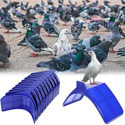 Holubník Bidýlka Odpočívadlo pro závodní holuby Plastové Lehké Odpočívadlo pro holuby Držák na hnízdo pro papoušky a jiné ptáky