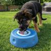 Food-Grade Silicone Pet Feeding Bowl Anti-slip Liquid Slow Dog Bowls Dog Treat Bowl  Wet Snack