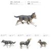 Wolf Pvc Model Wildlife Desktop Decoration For Collectors And Nature Fans