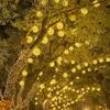 LED Rattan Ball Waterproof Outdoor Hanging Lights - Starry Sky Flashing Festival Decoration