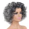 Grey Synthetic Ombre Wig for Women Big Puff Short Afro Kinky Curly Wig Cosplay Halloween Party Costume High Temperature