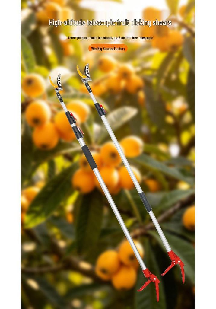 High-Altitude Telescopic Fruit Picking and Pruning Shears for Loquats, Lychees, and Longans