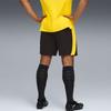 Puma Borussia Dortmund Shorts Replica Soccer Futsal Functional Shorts 780127 05