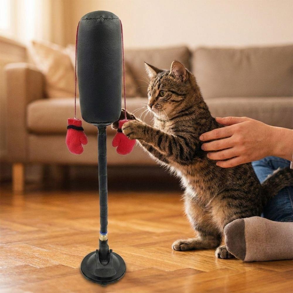 Saugnapf Katze Boxspielzeug Kratztrainer Interaktives Katzenspielzeug Katzenboxspiel Kätzchen Necken