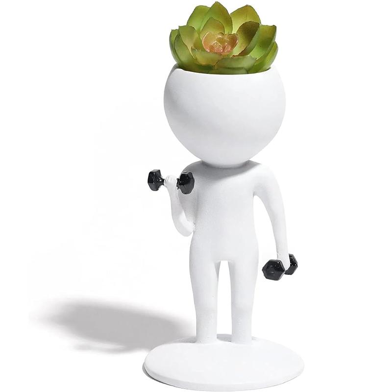 

Спортивные суккуленты Горшечные растения Смола Белый кукольный горшок Воздушная обрезка Корень растения