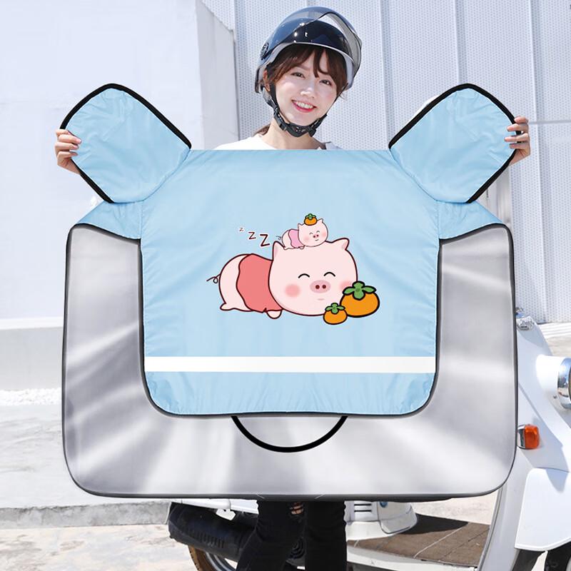 Electric Vehicle Windproof Sunshade Cover