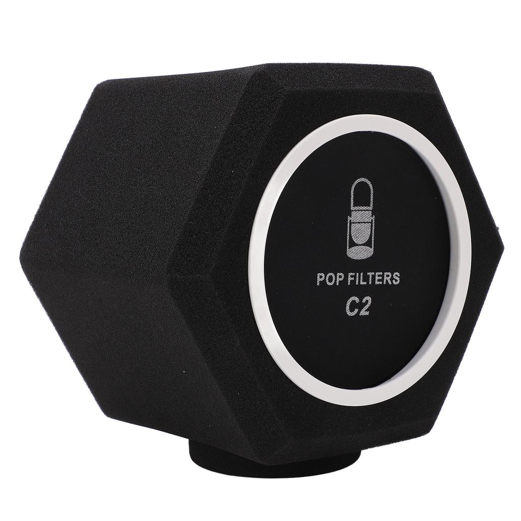 C2 Microphone Sponge Cover High Density Microphone Windscreen Professional Microphone Recording Isolation Booth