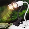 Clip-on Lamp Holder Turtle Basking Lamp 25W/50W/75W Pet Heat Bulb  Temperature Controller