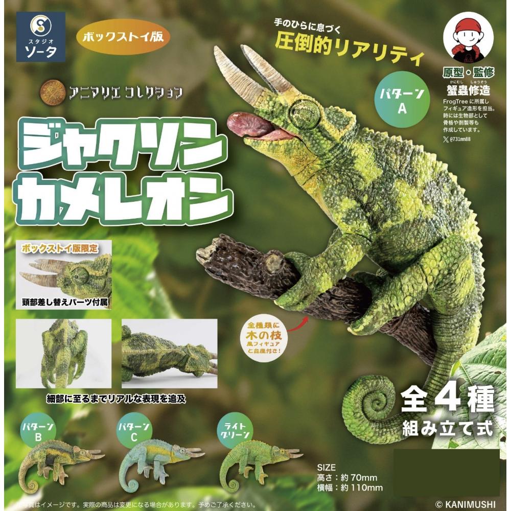 Animalier Collection Animalier Collection JackSon S Chameleon  1box  4pcS 