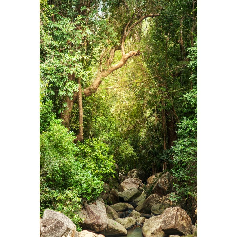 Spring Natural Scenery Forest Photography Backdrop Tropical Jungle Green Forest Tree Adventure Baby Portrait Photo Background
