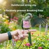 Net Bird Harness Vest and Leash For Small to Large Parrots Flight Suit Ensures Comfort And Security During Walking
