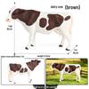 Realistic Farm Animal Model Set: Dairy Cow, Simmental Bull, Yellow Cattle, Fighting Bull, Water Buffalo, Yak