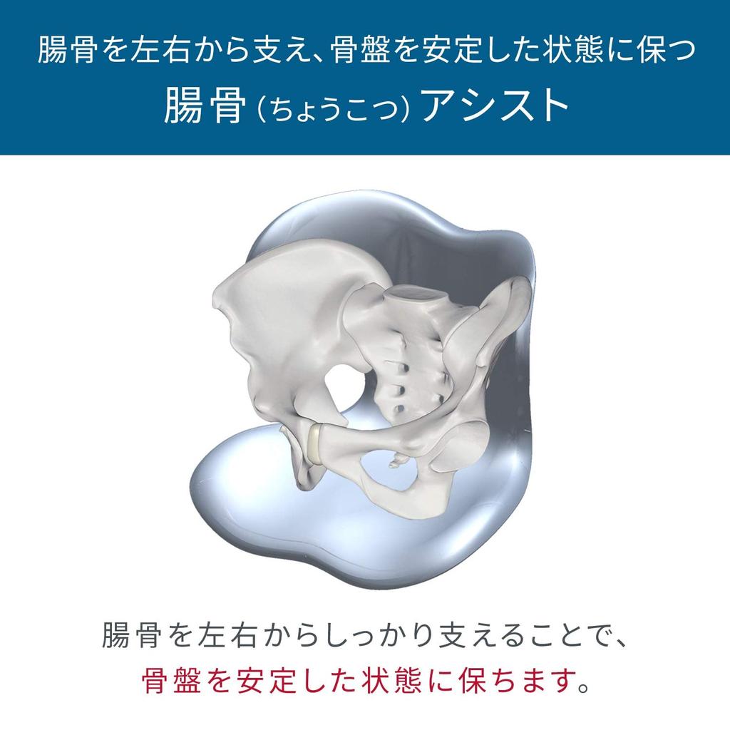 Style SMART Series Limited (Style SMART, [Amazon Color] Gray)