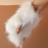 Faux Furs Arm Sleeves Soft Warm Winter Accessory Easyly Wash Soft Thermals Sleeve Covers For Outdoor Activity