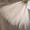 Home Decoration Plante Wedding Decor Artificial Reed Pampas Grass Fake Flowers Artificial Flower
