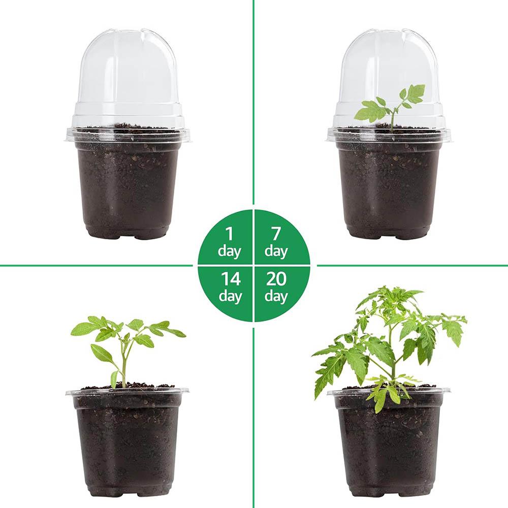 10/5x Seed Plant Nursery Pots Elegant Plastic Easy Use Plant Contai Mini Flowerpot Inside Succulents Gardening Supplies Planters