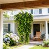 6pcs Artificial Hanging Plants Faux Eucalyptu Leaf Greenery Vine Outdoor Garden Resistant Plastic Plants Home Wall Wedding Decor
