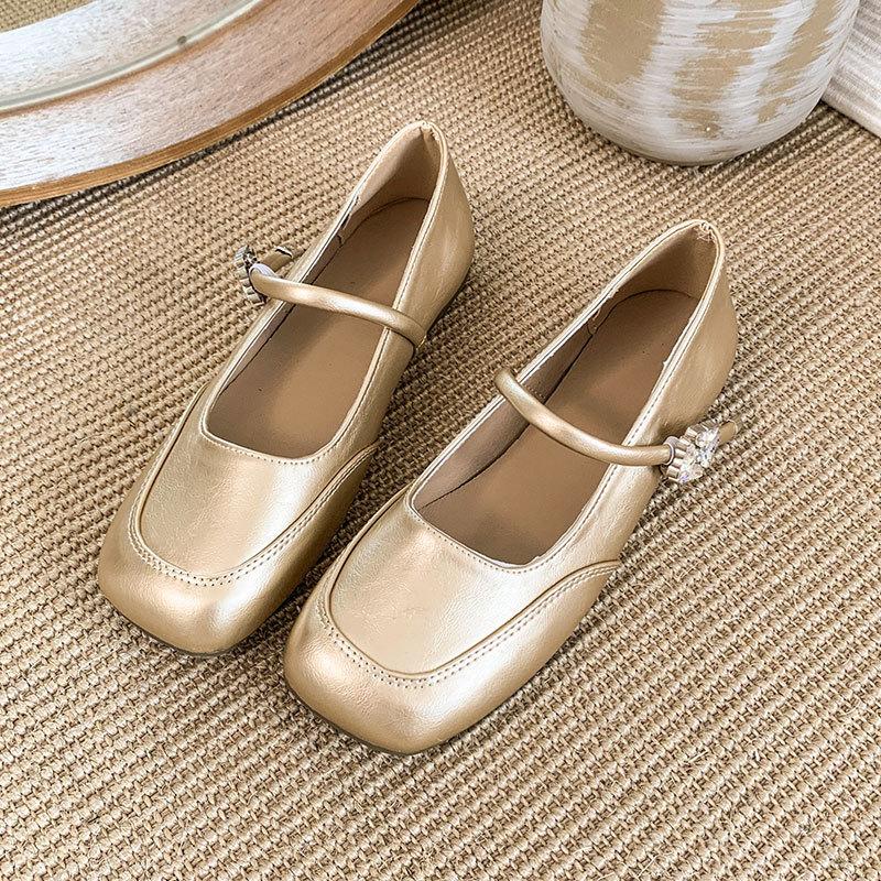 French Temperament Mary Jane Shoes Women's New 2025 Fashion Temperament Fairy Style with Skirt Shallow Mouth Evening Shoes