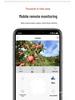 P4G Solar-Powered 360° Surveillance Camera: No Power/Network Required, HD, Remote Mobile Monitoring