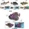 Tropical Fish Tank Decor Plastic Model Marine Animal Toy For Aquarium Enthusiasts