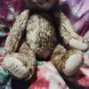 [USED] Terumi Yoshikawa Teddy Bear Charlie
