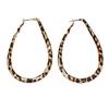 Fashionable And Exaggerated Retro Earrings With Geometric Circle Earrings