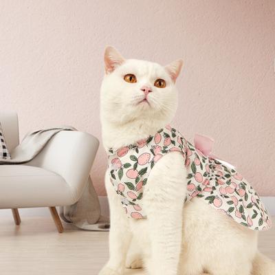 Roupa e sapatos – Vestidos para cães