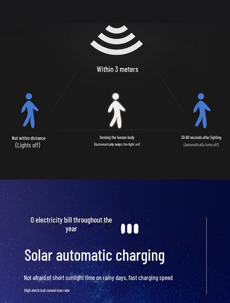 Intelligent Solar-Powered Motion Sensor Lights with Surveillance Camera Design