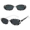 Sportliche Novelty-Sonnenbrille Für Shows, Bühne Und Tägliches Tragen Einzigartiges Kostümzubehör Modernes Outfit Foto-Requisiten