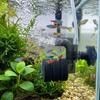 Quiet Aquarium Sponge Filter Increase Oxygen Air Driven Sponge Filter  Biological Filtration