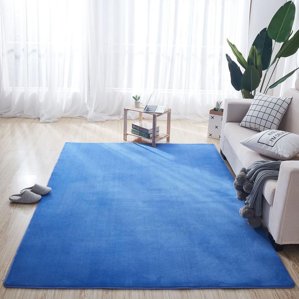 Thickened Coral Velvet Carpet Floor Mat Door Mat Door Entry Living Room Bedroom Bathroom Toilet Kitchen Absorbent Foot Mat