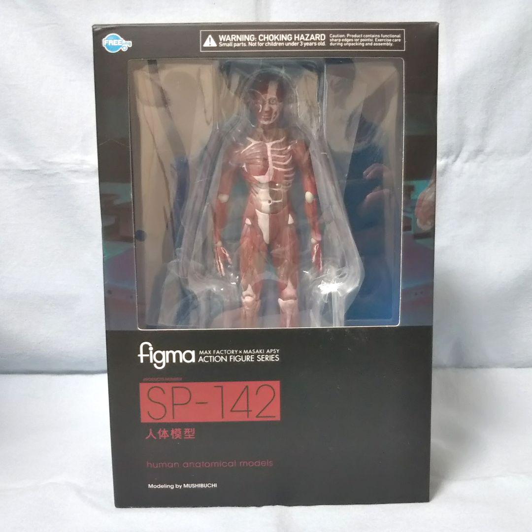 

[USED] figma human body model