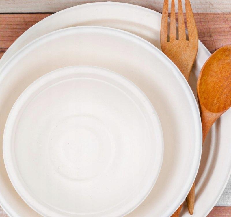 Disposable Plate Made Of Sugarcane Free Of Charge Sup - Grill