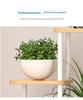 Cross-Border Multi-Layer Indoor Flower Rack for Living Room or Balcony