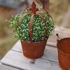 Artistic Rusty Effect Iron Planter With Removable Design Ideal For Indoor Outdoor Plant Decoration Easy To Clean And Maintain