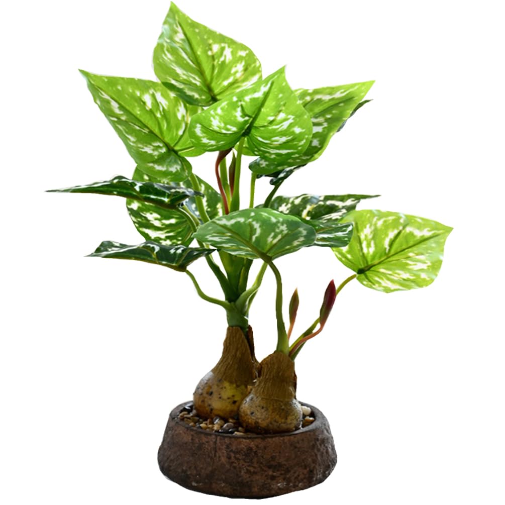 Artificial Plant, Photocatalytic, Fake Greenery, Artificial Bonsai, Monstera, Interior Decor, Air Purifier, Potted Plant, Small, Tabletop, No Maintena