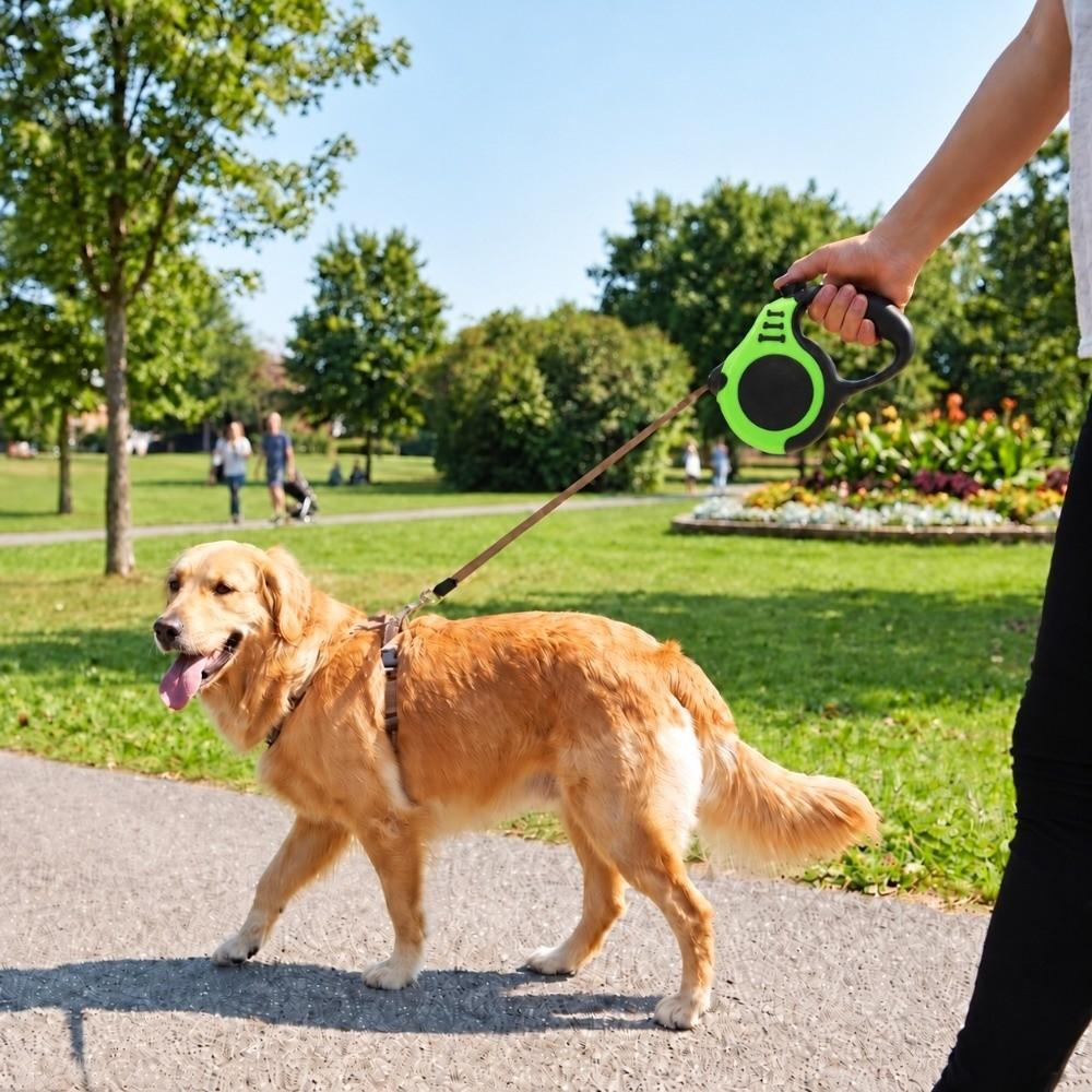 5M Multi Colors Retractable Dog Leash ABS Shell Dog Chain Cat Leash Outdoor Travel