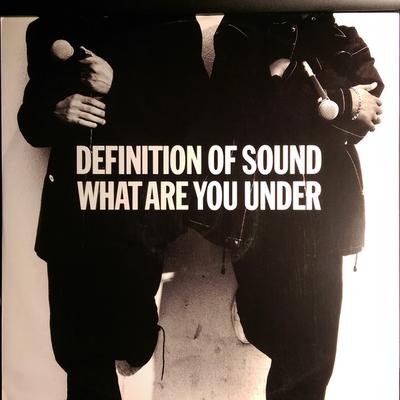 12inch Record DEFINITION OF SOUND - What Are You Under YRT95 Circa 1992 UK Dance & Electronica Used