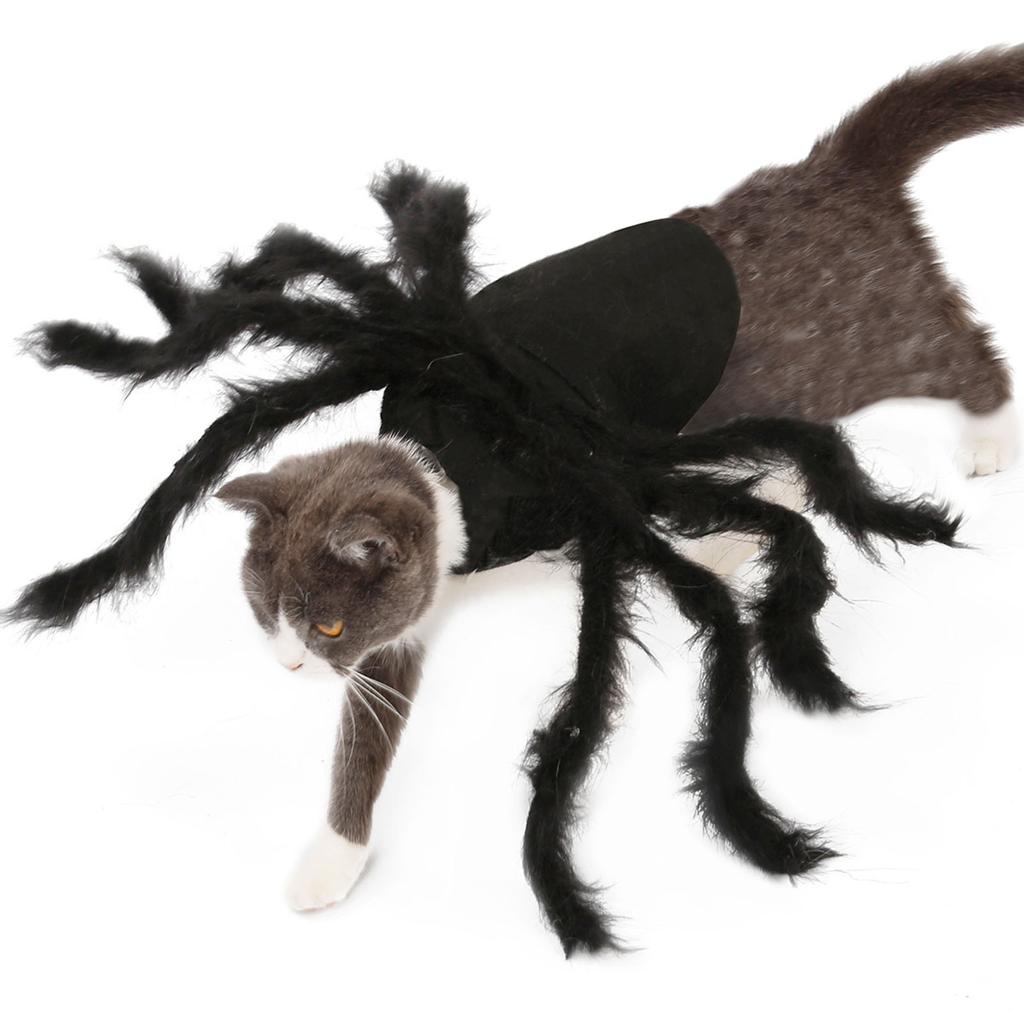 Spider Pet Costume Adorable Halloween Outfit for Small Dogs Cats Polyester Black Size S M Quick Fastening Tape Party Photograph Daily Wear