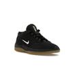 Nike Vertebrae SB Black Gum Unisex Sneakers Anthracite Summit-White FD4691-001