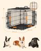 FEANDREA Dog Crate, Foldable, 92.5 cm Long, 2 Doors, L, Black