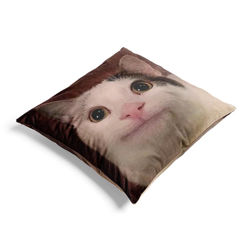 Aertemisi 18'' X 18'' Beluga Cat Funny Meme Square Throw Pillow Cushion Covers Cases Pillowcases 45Cm X 45Cm