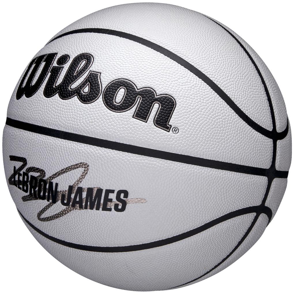 Wilson NBA Player Icon Uv Bskt Lebron, Unisex Grey Basketball