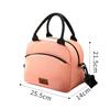 Large Capacity Insulated Lunch Cooler Bag