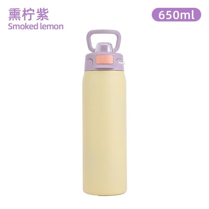 22oz 304 Stainless Steel Vacuum Thermos Bottle Dual Drinking Portable Handle Water Bottle Travel Car Sports Tumbler