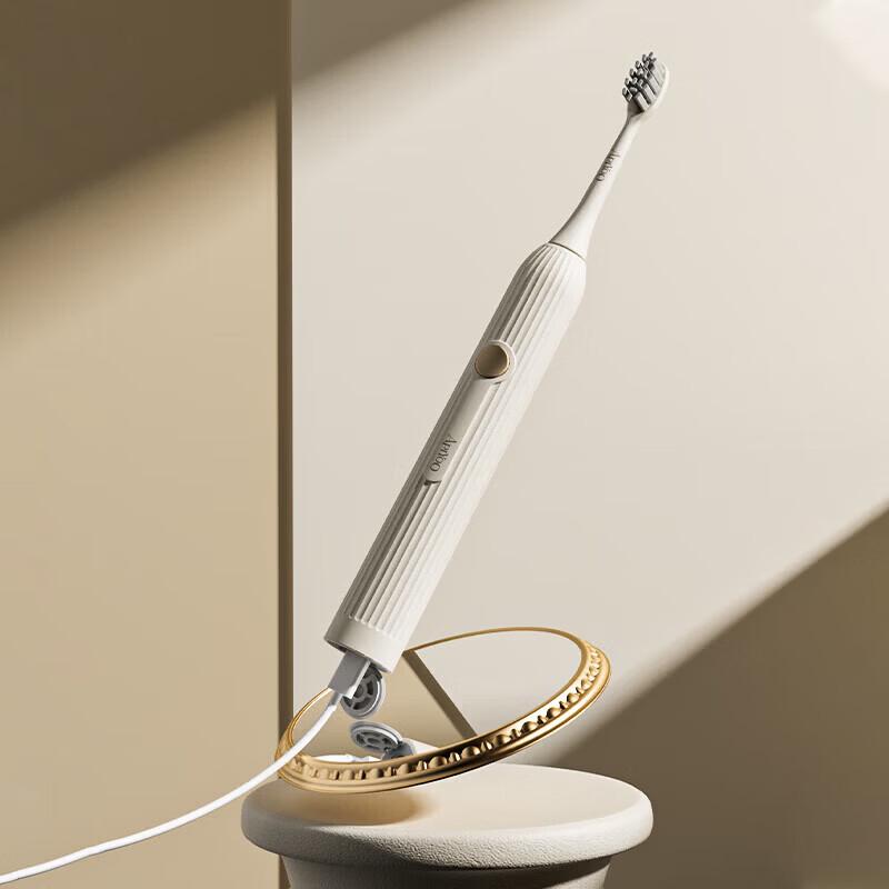 ApiYoo T11-A Sonic Electric Toothbrush CN plug (adapter included)