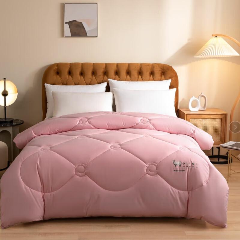 

Mr. Gong New Zealand Wool Thick Warm Quilt